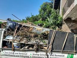 Best Residential Junk Removal  in Bridgeport, AL